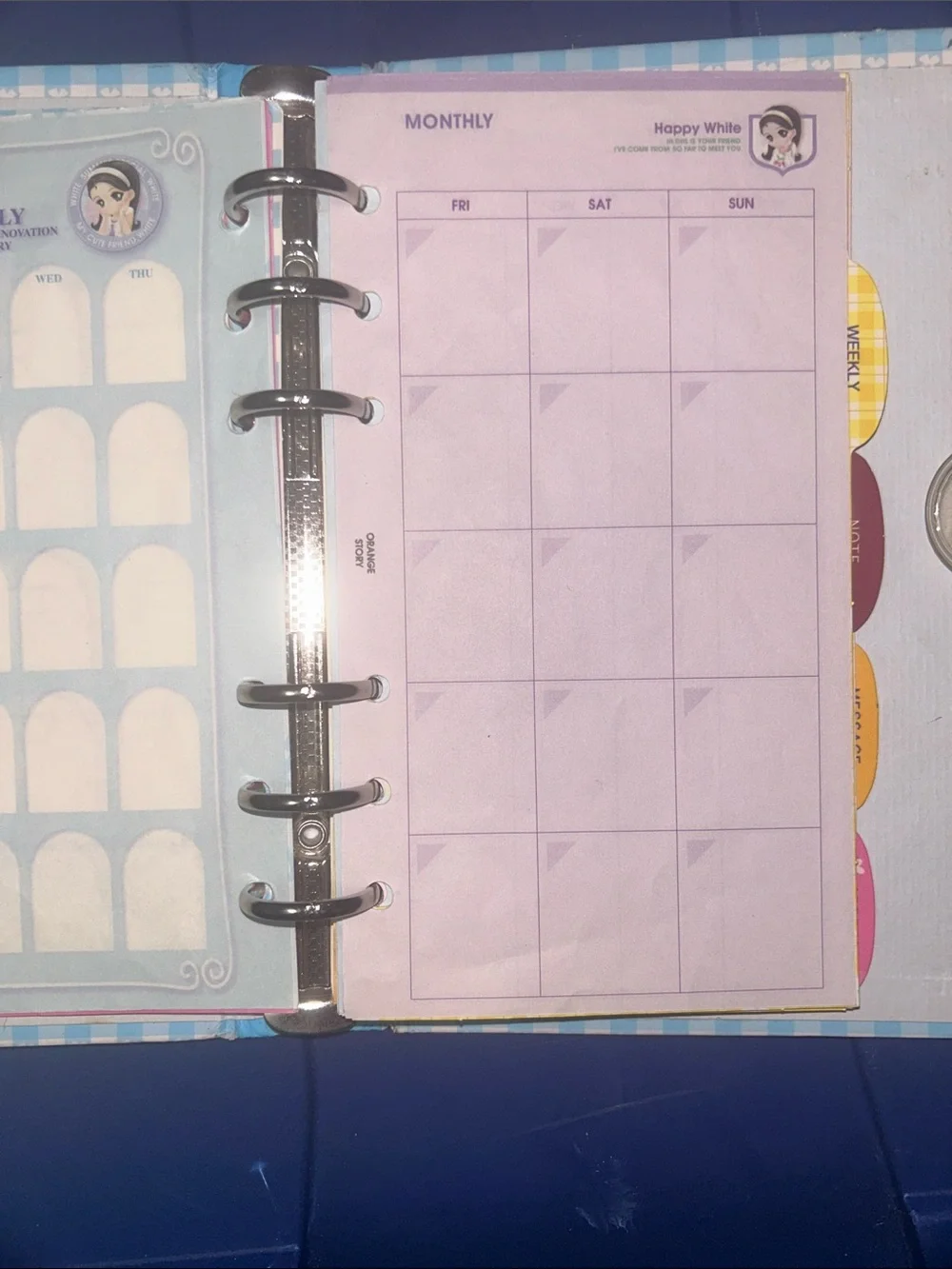 Blue Plaid Cute Girl Journal